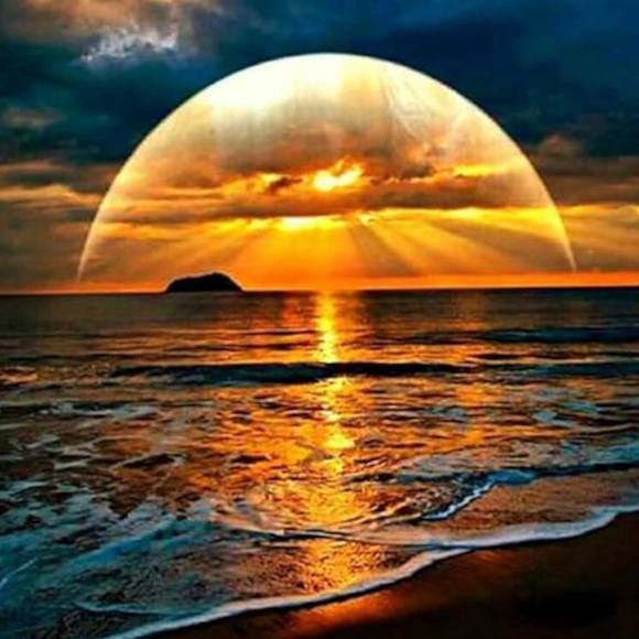 Meet your Posher, Bobby - Picture 1 of 1